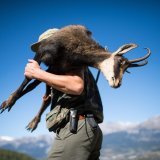 Chasse